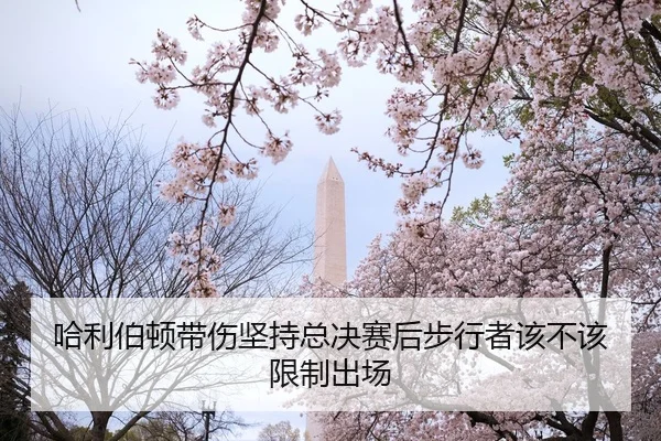 哈利伯顿带伤坚持总决赛后步行者该不该限制出场